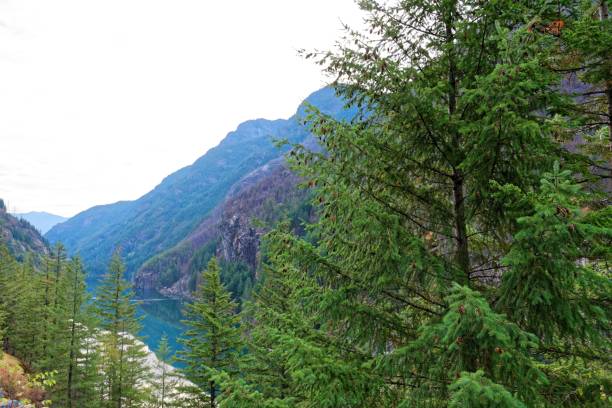 gorge lake, north cascades national park - north cascades national park northern cascade range reservoir mountain foto e immagini stock