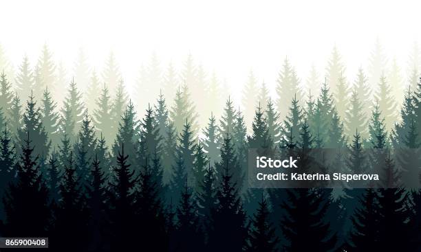 Paesaggio Vettoriale Con Sagome Verdi Di Conifere Nella Nebbia - Immagini vettoriali stock e altre immagini di Foresta