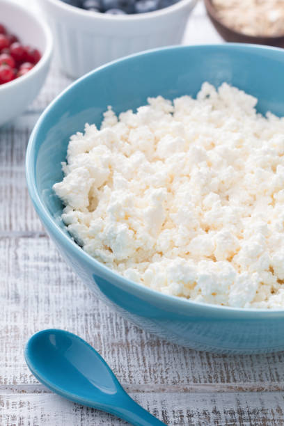 istock Organic Farming Cottage cheese or Curd Cheese in a blue bowl 865903022