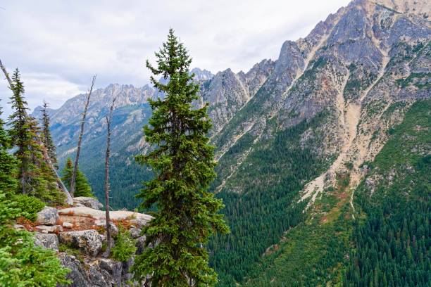 워싱턴 패스, 노스 캐스케이드 - north cascades national park cascade range highway north 뉴스 사진 이미지