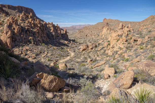 istock Hiking trail in Grapevine Hills, Big Bend National Park, Texas 865906444