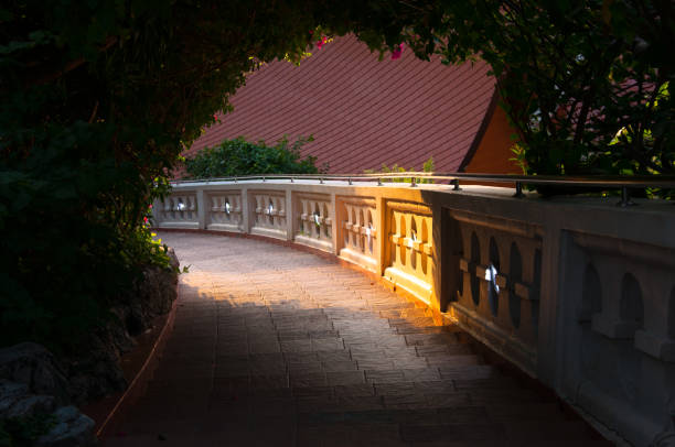 Stairs going down between green bushes, during beautiful sunset