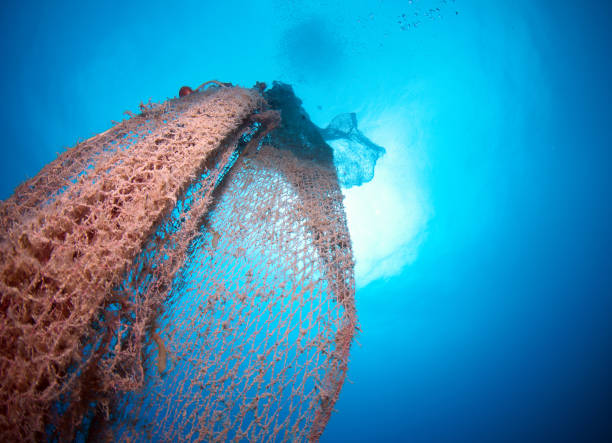 istock old abandoned fishing net 865910408