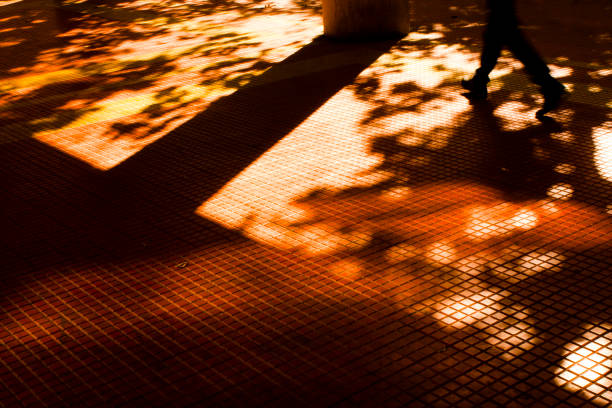 Shadows and silhouettes of a person walking in motion blur and trees in autumn sunset sunlight on city street sidewalk
