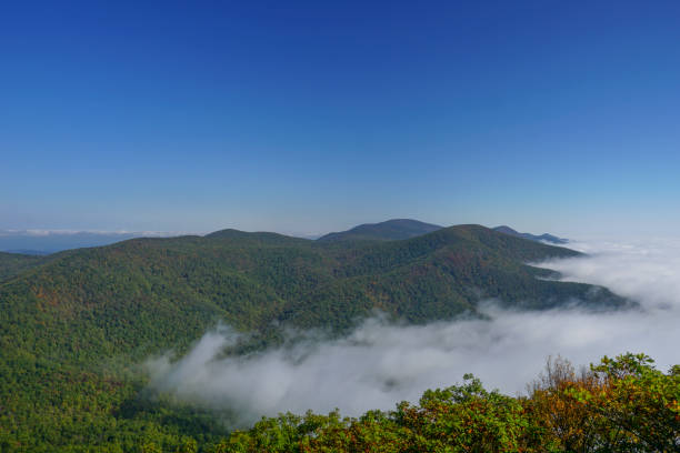 istock Blue Ridge Mountains Rising Above the Clouds in Virginia 865927990