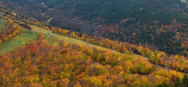 가, franconia 노치, 뉴햄프셔에서 대포 산 리프트 - cannon mountain 뉴스 사진 이미지