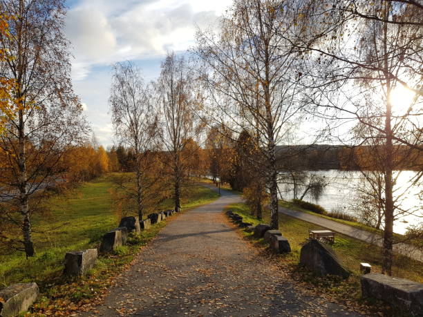 Beautful Autumn in elverum city in norway