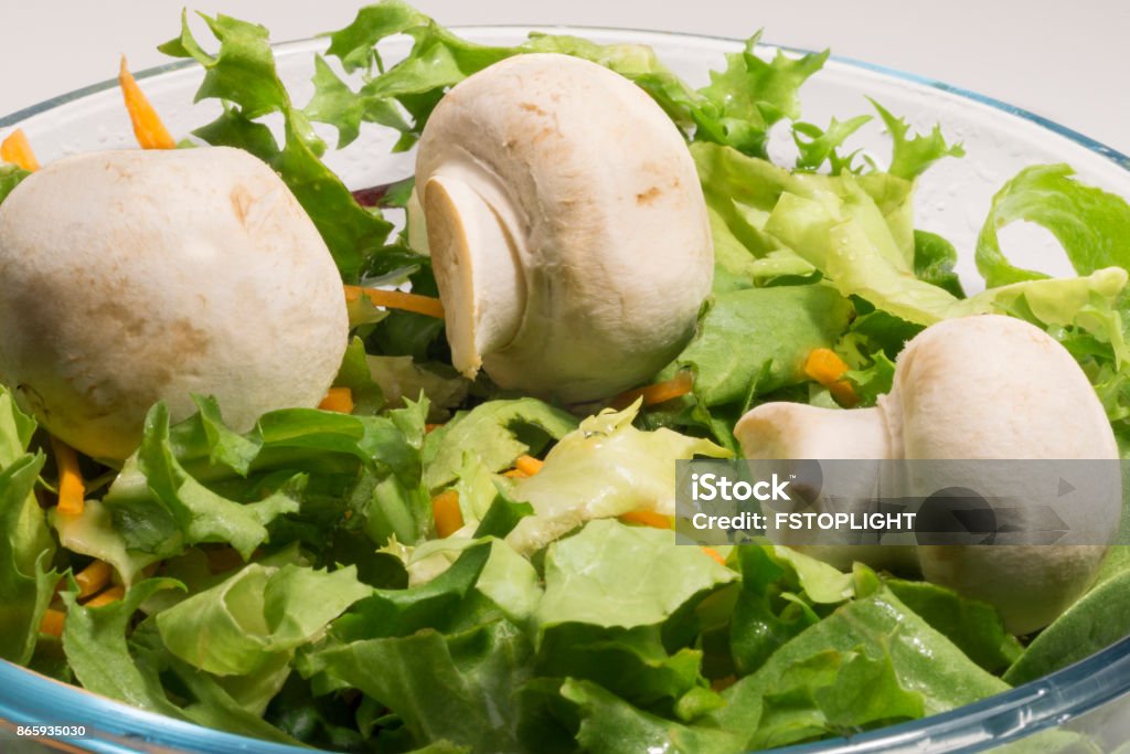 Frische gesunde Salat in einer sauberen Schüssel - Lizenzfrei Blattgemüse Stock-Foto