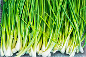 Freshness spring Green onion background