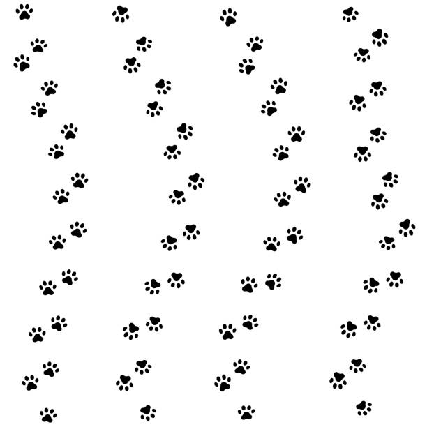 Cat paw track. Seamless animal pattern of paw footprint. Vector Cat paw track. Seamless animal pattern of paw footprint. Vector illustration kitten wallpaper stock illustrations