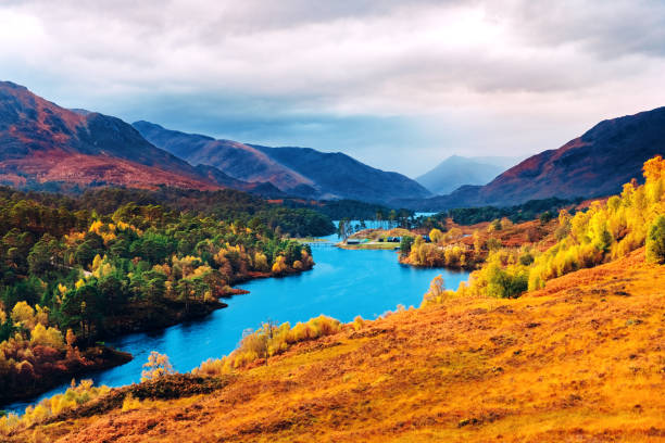 istock Glen Affric, Scottish Highlands 865938804