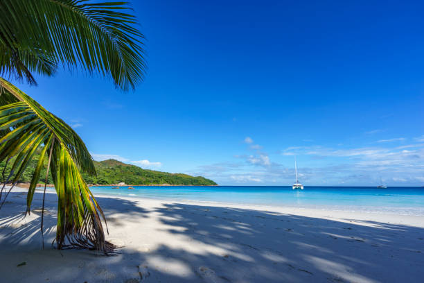 istock stunning paradise beach at anse lazio, praslin, seychelles 15 865942862