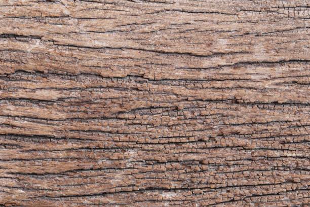 istock Old wood texture for the design background. 865951618