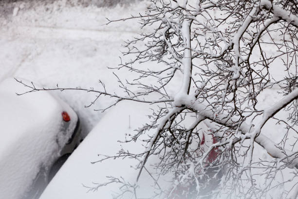 istock Parked cars after winter blizzard 865955134