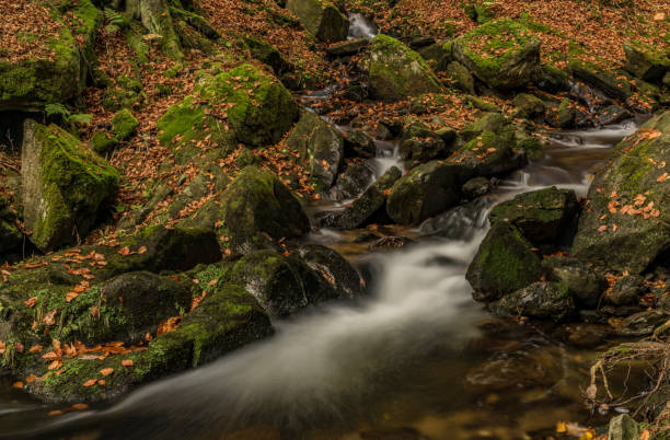 istock Autumn day on river Cista in Krkonose mountains 865961538