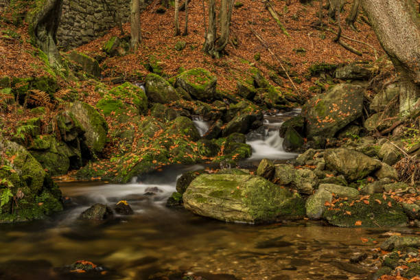 istock Autumn day on river Cista in Krkonose mountains 865961636