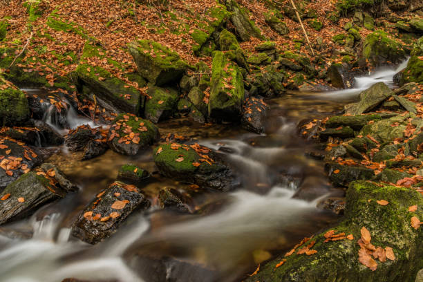 istock Autumn day on river Cista in Krkonose mountains 865961732