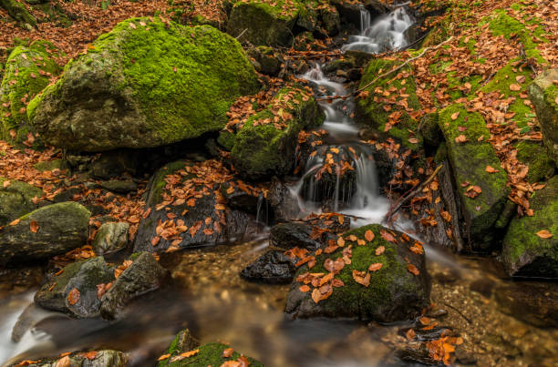 istock Autumn day on river Cista in Krkonose mountains 865961780