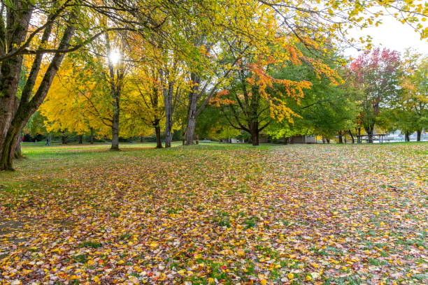 istock Picnic Table on the grass in fall color trees 865965880