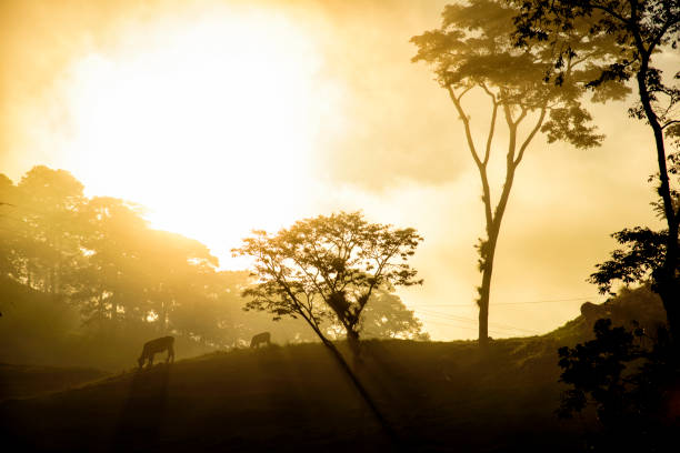 Picture taken in the valley of Ocosingo Chiapas