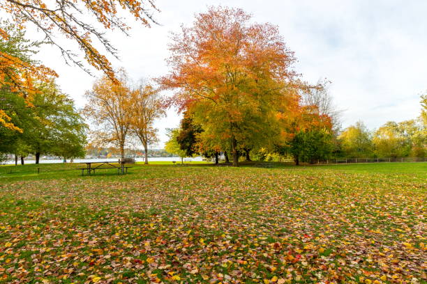 Picnic Table on the grass in fall color trees