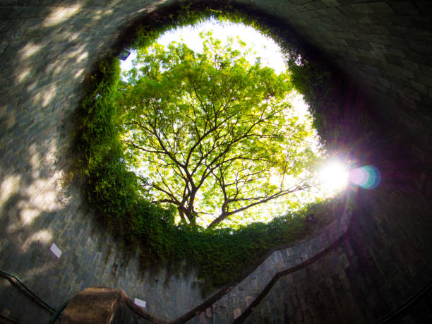 istock Fort Canning Park, Singapore. 865966566