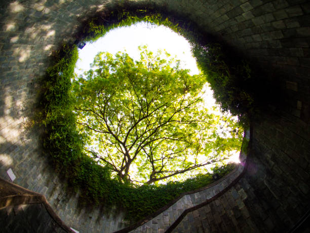 istock Fort Canning Park, Singapore. 865966574