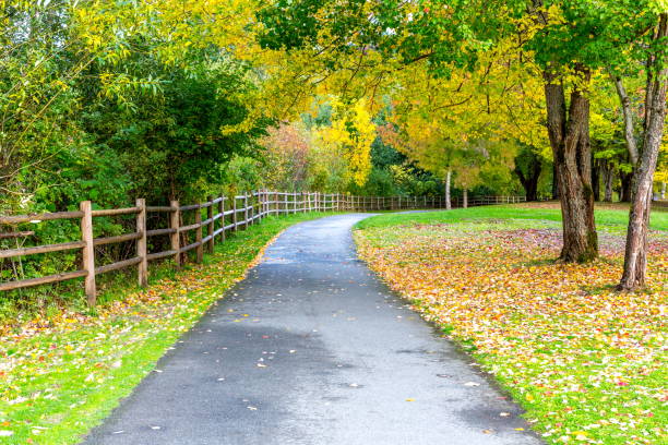 istock Picnic Table on the grass in fall color trees 865966620