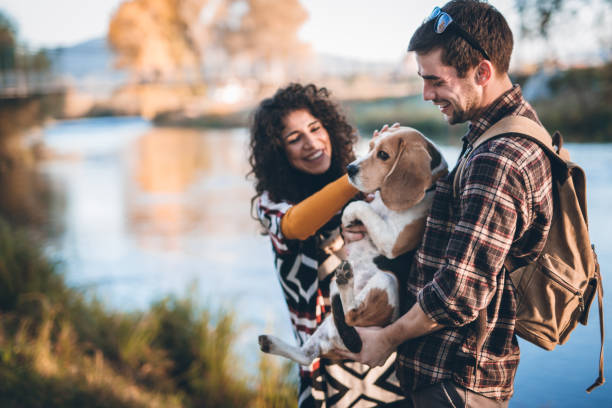 istock Couple with dog walking by the river 865966736