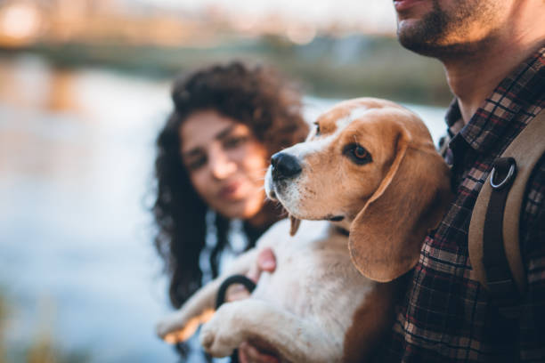 istock Couple with dog walking by the river 865966742