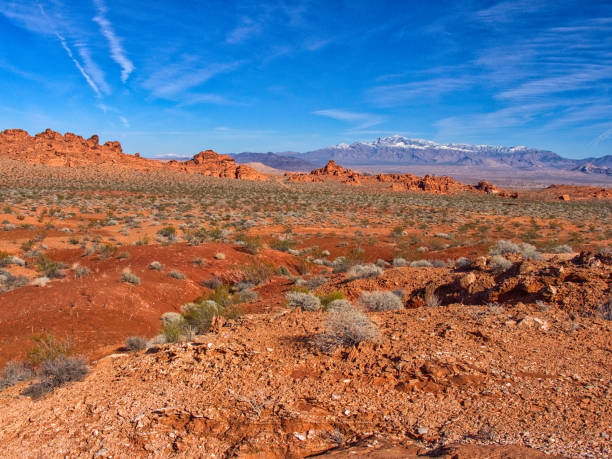istock Classic view. Daytime. Valley of Fire 865967584