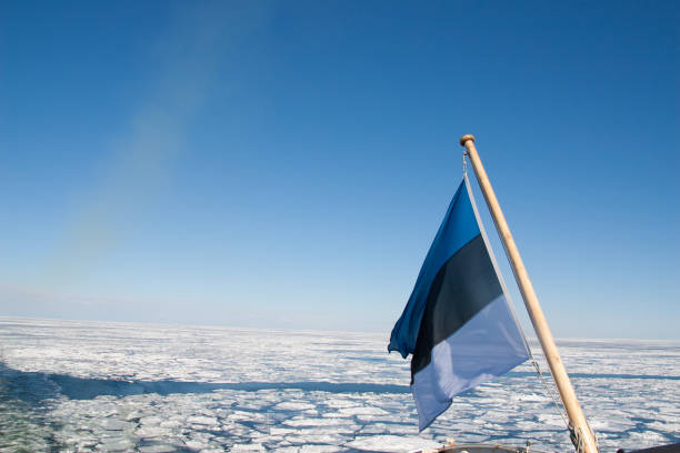 istock Estonian flag above the baltic sea 865969824