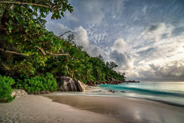 istock paradise beach at anse georgette, praslin, seychelles 21 865976770