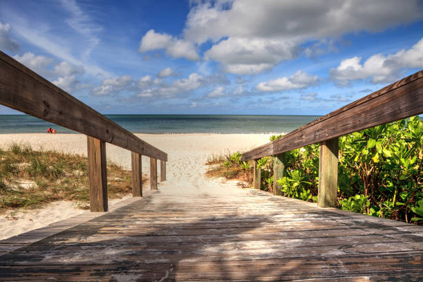istock Long exposure of Naples Beach, Florida 865983032