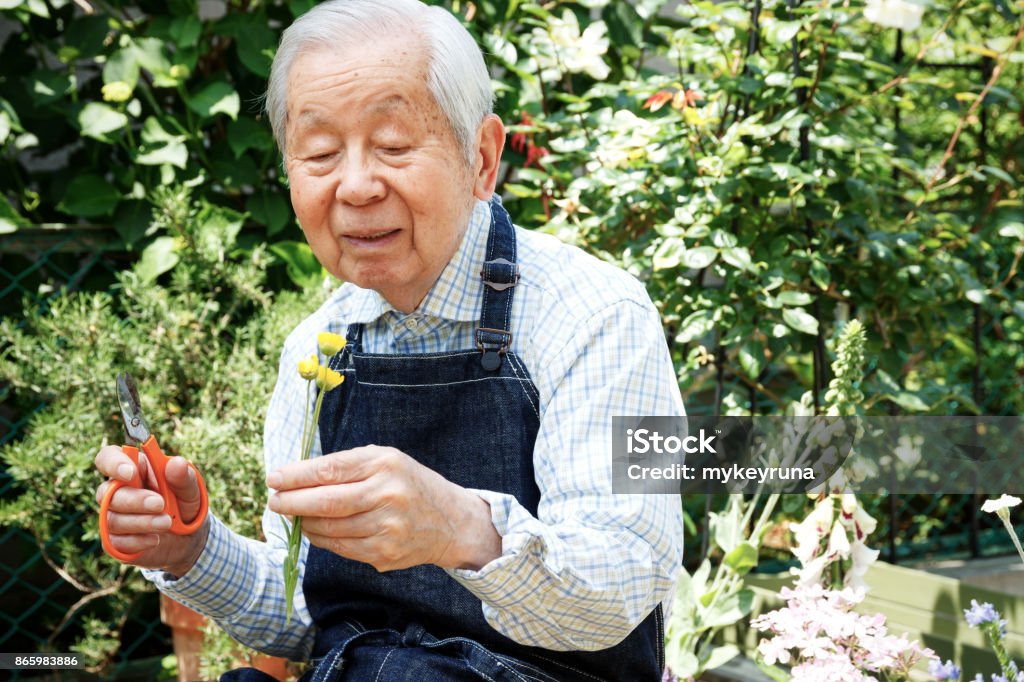 Seniors Gardening 80-89 Years Stock Photo