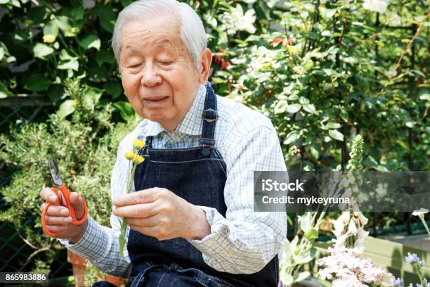 Seniors Stock Photo - Download Image Now - 80-89 Years, Gardening, Senior Adult