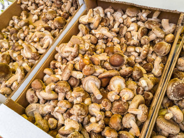 istock Street market 865993460