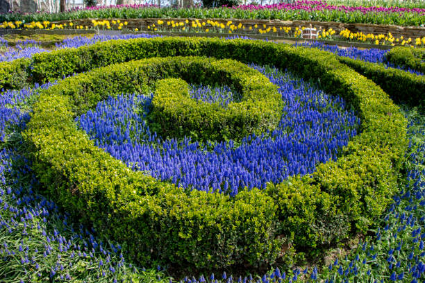 istock Beautiful flowers as a background 866001748