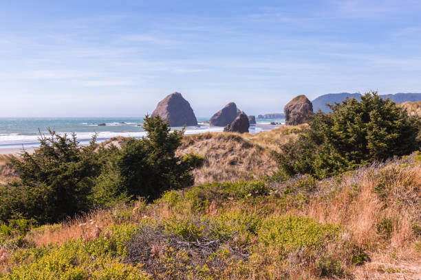 istock California coastline during a wildfire 866007758