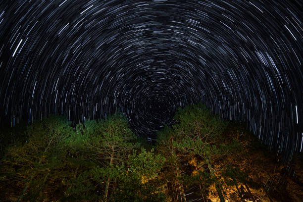 istock Star Trail Pine Trees Upper Peninsula Color 866009944