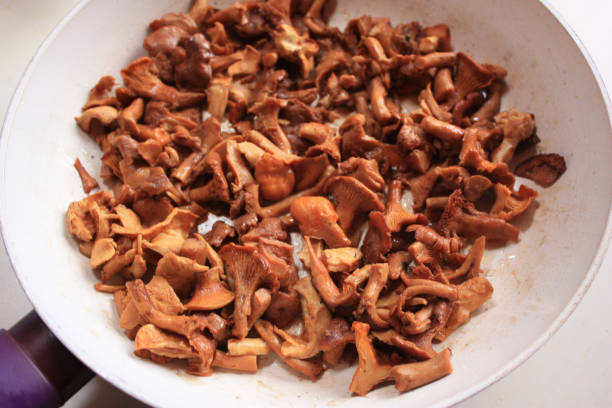 Fried mushrooms from the forest Fried mushrooms from the forest  chanterelles hedgehog mushroom stock pictures, royalty-free photos & images