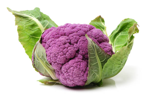 chou-fleur violet isoler sur fond blanc - purple cauliflower photos et images de collection