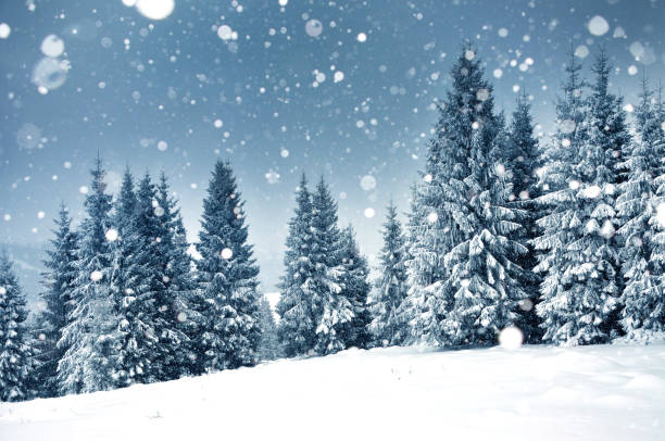 istock Christmas background with snowy fir trees 866024812
