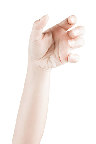 istock Close up Hand and arm  on white  background. 866024846