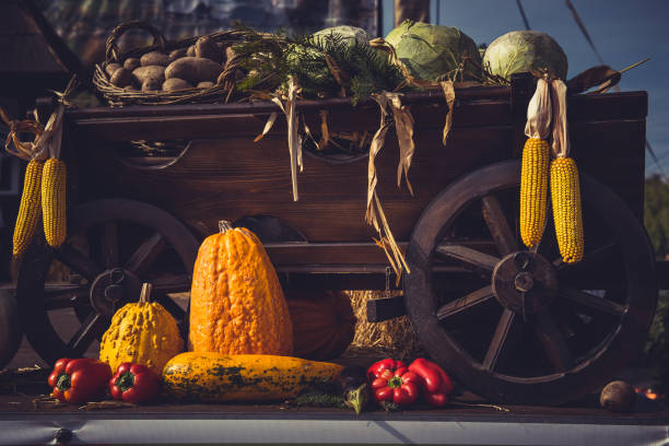 istock Autumn harvest. Cart full with freshly picked vegetables 866025460