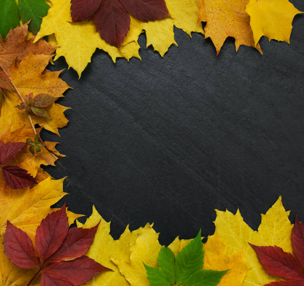 istock Autumn leaves on blackboard 866035088