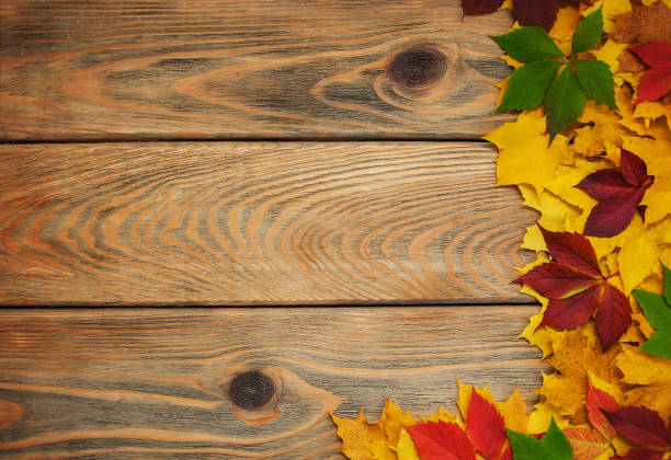 istock Autumn leaves on wooden table 866035098