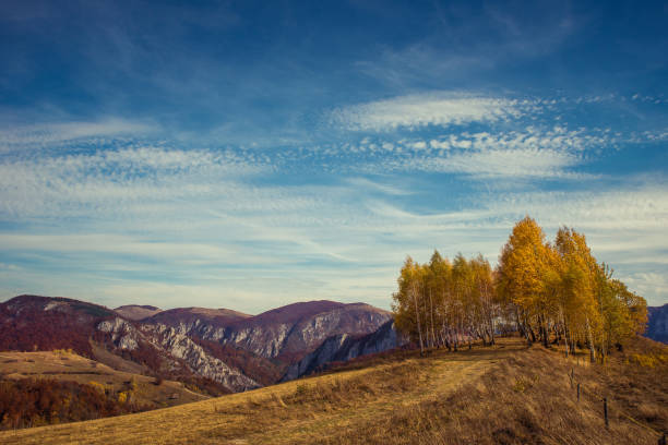 istock Mountain autumn landscape with colorful forest 866036678