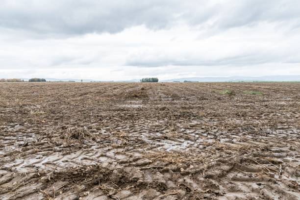 istock Tractor marks and mud at a wet acre, Bavaria, Germany 866036722