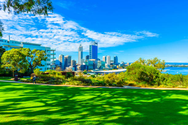 Kings Park and Perth city
